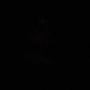 Meet your Posher, Zach